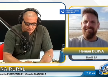 Mercado agrícola: precios presionados y rentabilidad ajustada