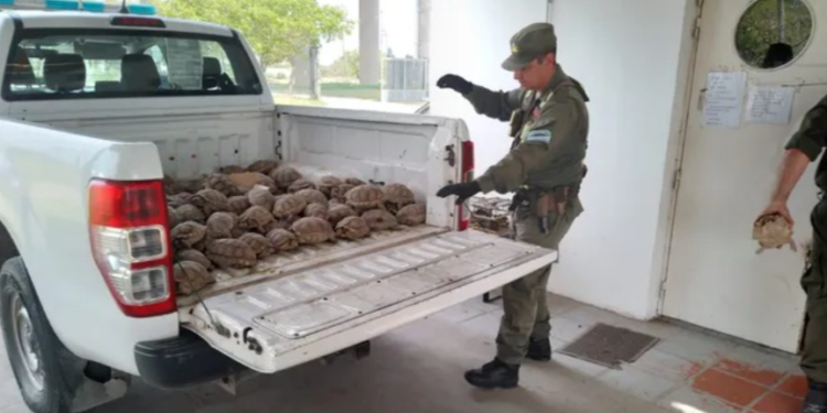 Santa Fe endurece multas por delitos contra la fauna y busca frenar su avance