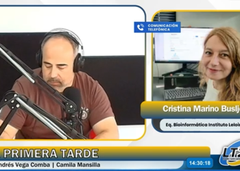 Avance argentino en neurociencia: IA para detectar enfermedades neurodegenerativas