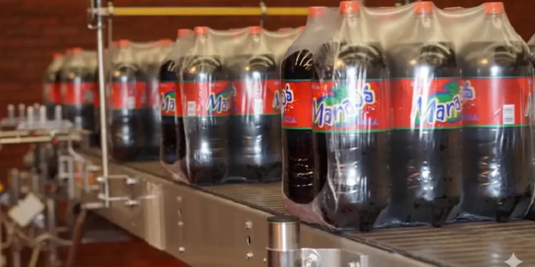 La Justicia condenó a Manaos a pagar más de 800 millones de pesos