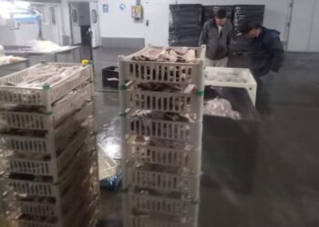 Ambiente refuerza controles por Semana Santa y sanciona a dos frigoríficos pesqueros