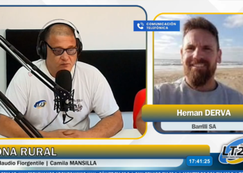 Avance de cosecha, clima y rentabilidad en el análisis del sector agropecuario