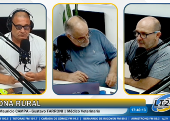 Producción porcina: buen estatus sanitario y desafíos en bioseguridad