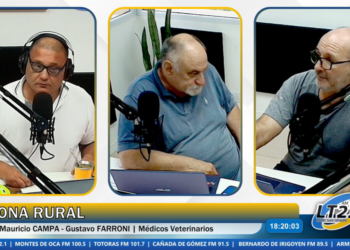 Producción porcina: buen estatus sanitario y desafíos en bioseguridad (2da parte) | Zona Rural