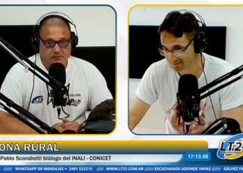 Aparición de surubí en el río Salado: análisis de un especialista del INALI–CONICET