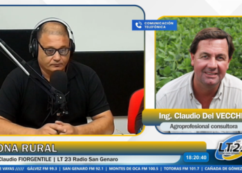 Panorama del campo tras las lluvias: rindes, costos y desafíos productivos