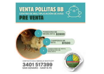 Venta de Aves en San Genaro