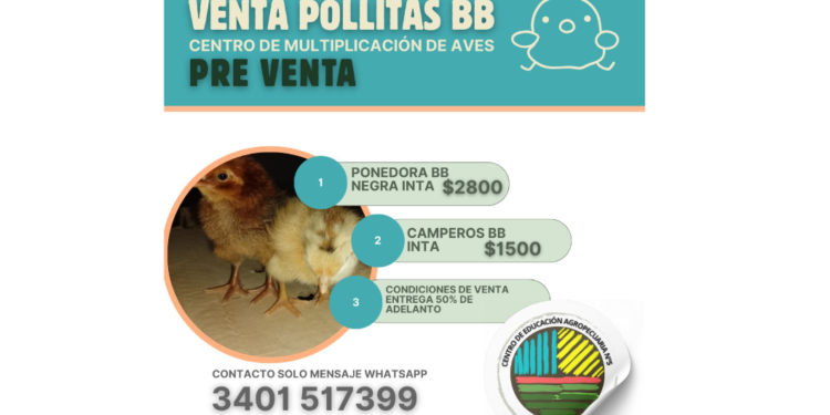 Venta de Aves en San Genaro