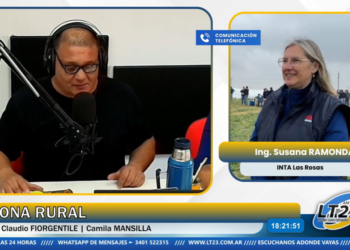 Producción ovina: jornada a campo en Cañada Rosquín para fortalecer el sector