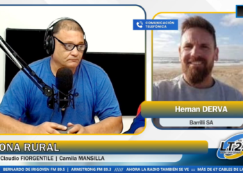 Mercado agrícola: volatilidad global y decisiones con cautela