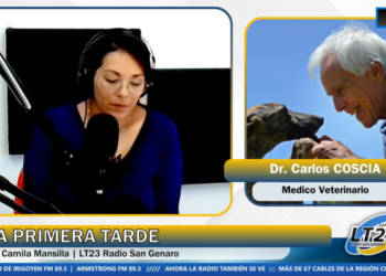 Rosario puso en marcha su Hospital Animal Municipal gratuito