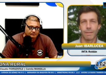 Siembra de alfalfa: recomendaciones clave en plena ventana óptima