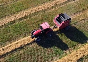 Santa Fe: proyectos para el agro y reconocimiento a mujeres rurales