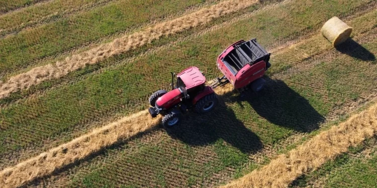 Santa Fe: proyectos para el agro y reconocimiento a mujeres rurales