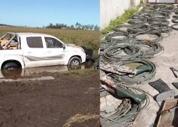 Armstrong: secuestran cables millonarios tras persecución rural