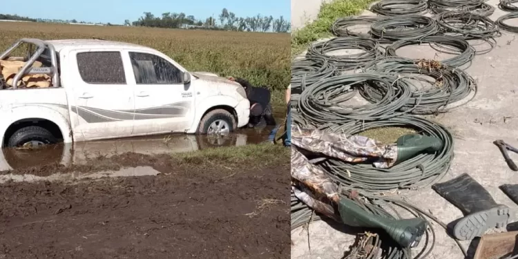 Armstrong: secuestran cables millonarios tras persecución rural