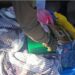Gendarmería secuestró más de 67 kilos de droga en un colectivo en Ceres