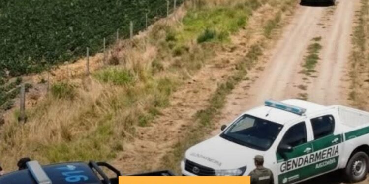 Caída de avioneta y operativo policial en desarrollo entre Armstrong y Villa Eloísa