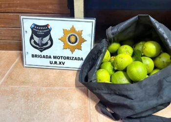 Coronda: detuvieron a un joven por robar limones para venderlos