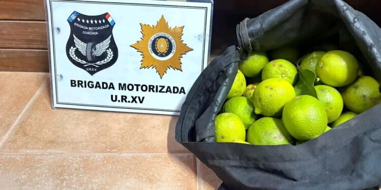 Coronda: detuvieron a un joven por robar limones para venderlos