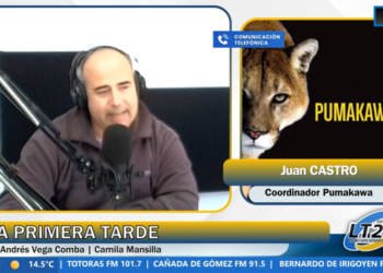 Rescate y conservación en Pumakawa: el trabajo con fauna silvestre en Córdoba