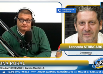 El maíz y el desafío del valor agregado: fuerte debate en el Congreso Maizar