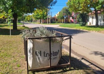 El Trébol refuerza la recolección de hojas y residuos verdes durante el otoño