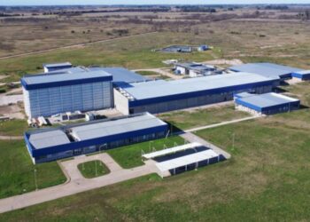 Mega inversión en el sector porcino: un gigante español desembarca con US$ 14 millones en Argentina