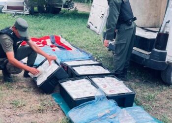 Secuestraron más de 300 kilos de pescado y empanadas transportados de forma ilegal en Barrancas
