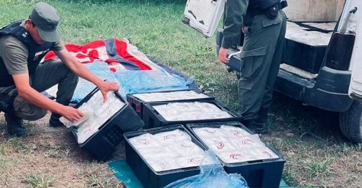 Secuestraron más de 300 kilos de pescado y empanadas transportados de forma ilegal en Barrancas