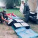 Secuestraron más de 300 kilos de pescado y empanadas transportados de forma ilegal en Barrancas