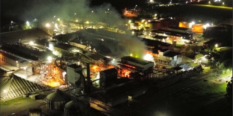 Grave incendio en la planta de Vicentin en Ricardone: no hubo heridos ni riesgo tóxico