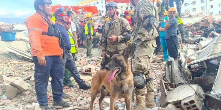 Bart, el perro argentino que salvó a dos menores de los escombros en Venezuela