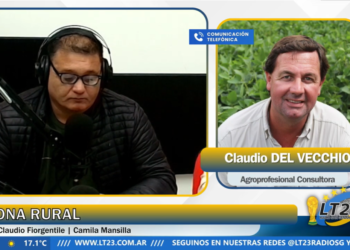 Del Vecchio: “La campaña de trigo avanza con excelentes condiciones en la región”