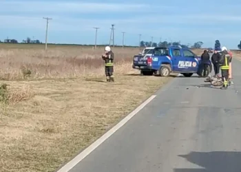 Accidente fatal en la Ruta Provincial 15: murió un motociclista tras chocar contra un tractor