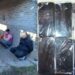 Detuvieron a dos personas más por los 107 kilos de marihuana hallados en una carnicería de Serodino