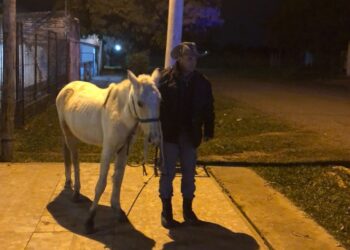 Intentó robar en una vivienda, sonó la alarma y escapó dejando abandonado su caballo