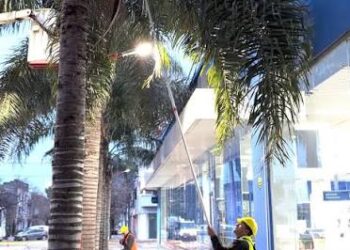 El municipio de Cañada de Gómez continúa con los trabajos de poda y mantenimiento urbano