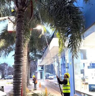 El municipio de Cañada de Gómez continúa con los trabajos de poda y mantenimiento urbano