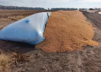 Villa Cañás: destrozaron 12 silobolsas y provocaron pérdidas millonarias en un establecimiento rural
