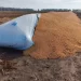 Villa Cañás: destrozaron 12 silobolsas y provocaron pérdidas millonarias en un establecimiento rural