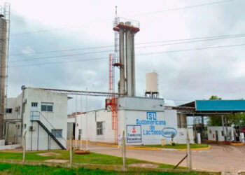 «Retiro de ofertas, mucha suerte»: Se complicó la venta de Láctea Sudamericana en Diaz